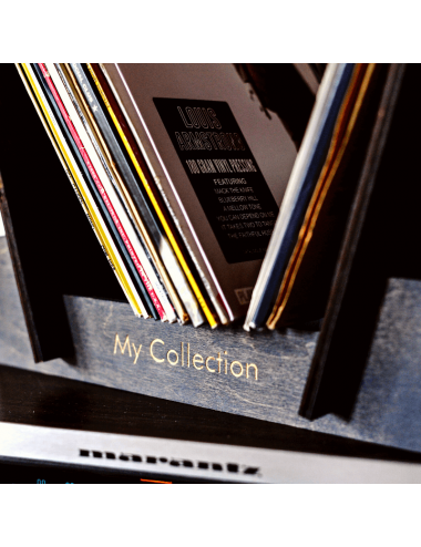 Custom Vinyl Record Storage...